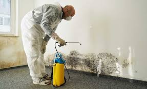 Best Residential Mold Inspection & Testing  in Valley, NE